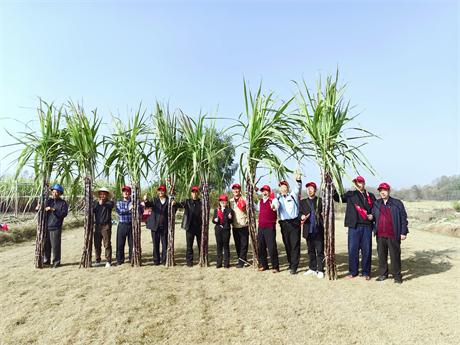 ũĻϲ  СƽܷŶӰũ